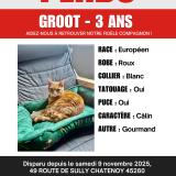 Photo de chat perdu à Chatenoy