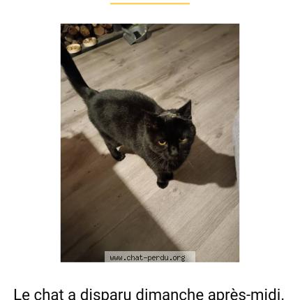 Photo 1/1 Chat retrouvé Perdu à Trondes
