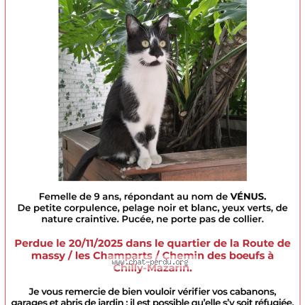 Photo de chat perdu à Chilly Mazarin