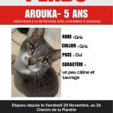 Photo de chat perdu à Tarbes 65000