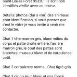 Photo de chat trouvé à Saint Leu La Foret