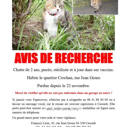 Photo 1/4 Titine Chat perdu à Caromb