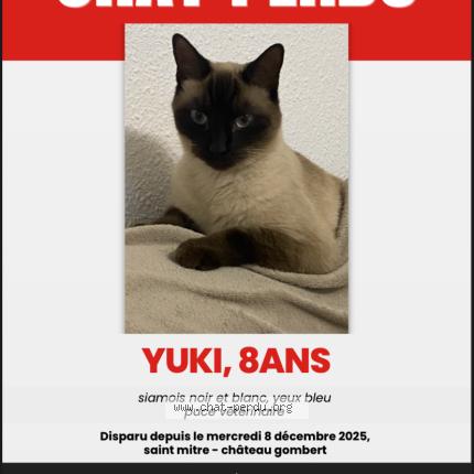 Photo 1/1 Yuki Chat perdu à Marseille