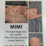 Photo de chat perdu à Rodez