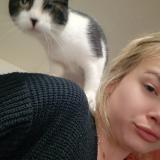 Photo de chat perdu à Roville Devant Bayon