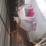 Photo de chat trouvé à Albi