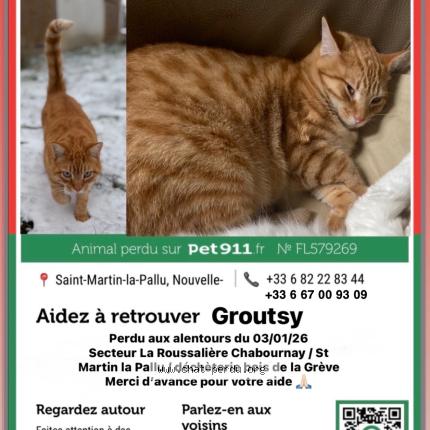 Photo 1/1 groutsy Chat perdu à Chabournay