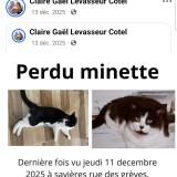 Photo de chat perdu à Savieres