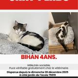 Photo de chat perdu à Paris