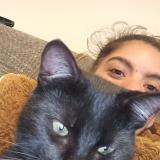 Photo de chat perdu à La Garnache