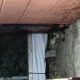 Photo de chat trouvé à Le Cannet Des Maures