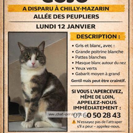 Photo 1/1 Gojo Chat perdu à Chilly mazarin
