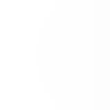 Photo de chat perdu à Montech