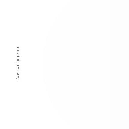 Photo 1/4 Bianka Chat perdu à Montech