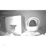 Photo de chat trouvé à Dans Notre Jardin