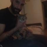 Photo de chat perdu à Pommeuse