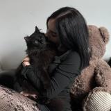 Photo de chat perdu à Villeneuve Sur Lot