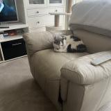 Photo de chat perdu à Mericourt