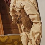 Photo de chat perdu à Mezieres Vd