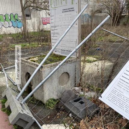 Photo 2/2 Chat trouvé Trouvé à Aubervilliers