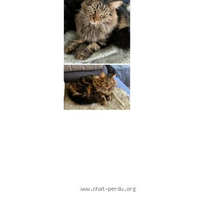 Photo 1/1 Lars Chat perdu à La rochelle