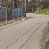 Photo de chat trouvé à Arnage