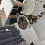 Photo de chat perdu à Civrac De Blaye