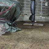 Photo de chat trouvé à Santenay