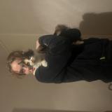 Photo de chat perdu à Toulouse