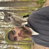 Photo de chat perdu à Chemery