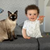 Photo de chat perdu à Pusey