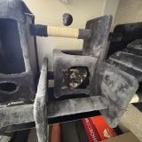 Photo de chat perdu à Salt Lake City