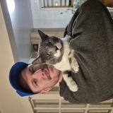 Photo de chat perdu à Terrebonne