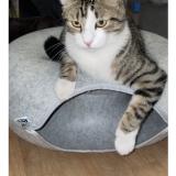 Photo de chat perdu à Creteil