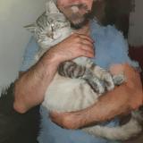 Photo de chat perdu à Trignac