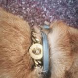 Photo de chat trouvé à Wittelsheim