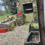 Photo de chat trouvé à Plouye