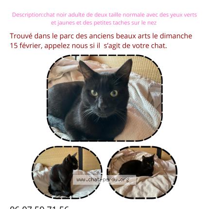 Photo 1/1 Chat trouvé Trouvé à Saint etienne