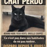 Photo de chat perdu à Sablons Sur Huisne