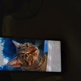 Photo de chat perdu à Roanne