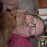 Photo de chat perdu à Ovid