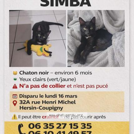 Photo 1/1 Simba Chat perdu à Hersin coupigny