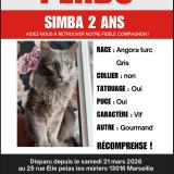 Photo de chat perdu à Marseille