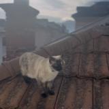 Photo de chat perdu à Voiron