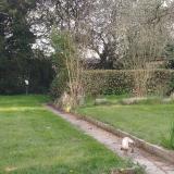 Photo de chat trouvé à La Bouexiere