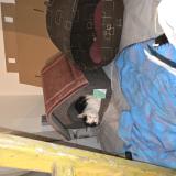 Photo de chat trouvé à Tauxigny