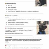 Photo de chat perdu à Bouafle