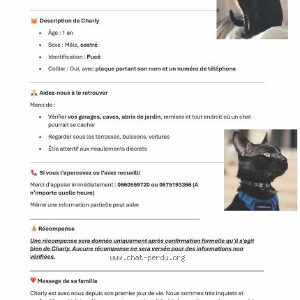 Photo 1/1 Charly Chat perdu à Bouafle