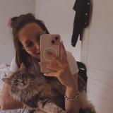 Photo de chat perdu à Saint Andre D Hebertot