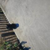 Photo de chat trouvé à Boulogne Billancourt